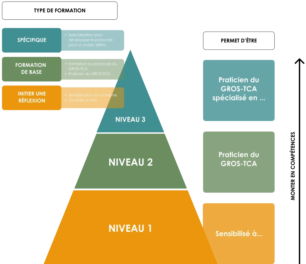 parcours formation gros-tca